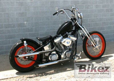 2010 Flyrite Choppers Bobber photo